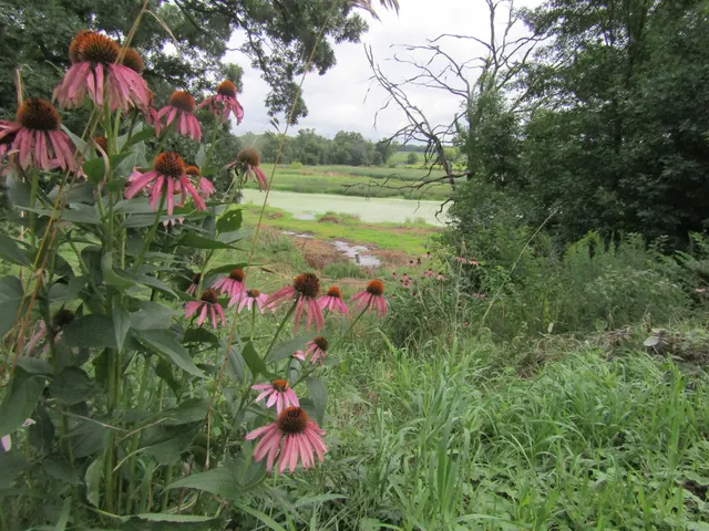 $850,000 | 8801 North Serns Road, Milton, WI 53563