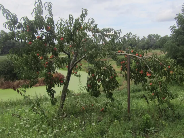 $850,000 | 8801 North Serns Road, Milton, WI 53563