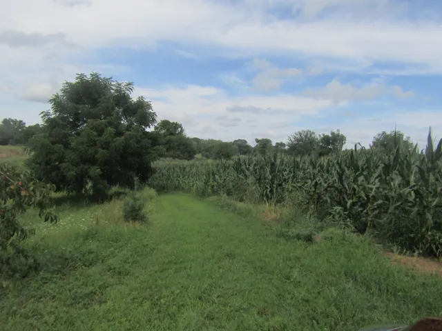 $850,000 | 8801 North Serns Road, Milton, WI 53563