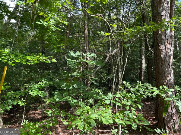 $99,000 | 0 County Road 329, Wedowee, AL 36278