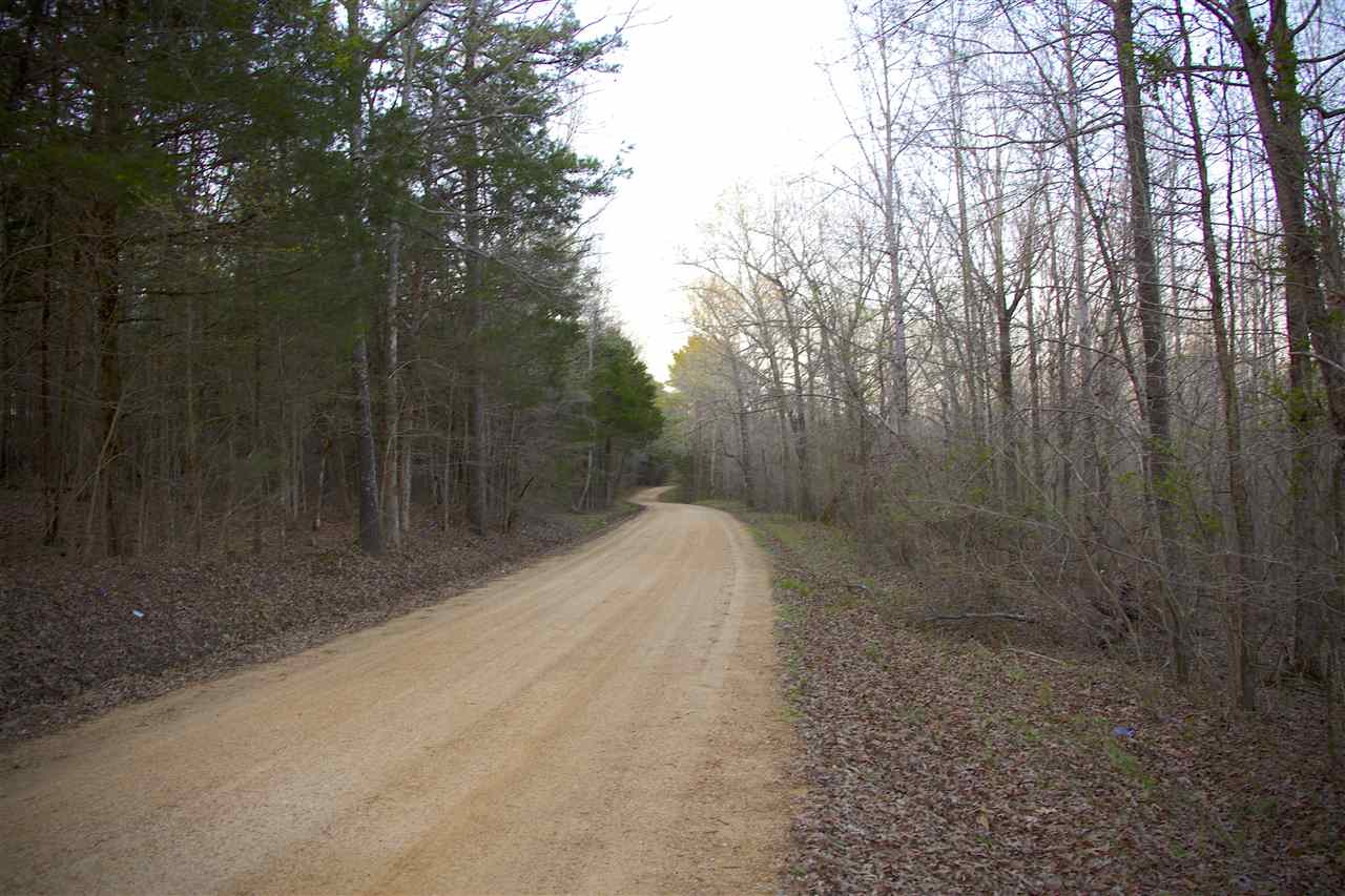 5315 Country Club Road Somerville, TN 38068 - Photo 14 of 24 Gallery Image 14