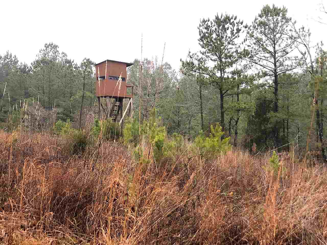 5315 Country Club Road Somerville, TN 38068 - Photo 22 of 24 Gallery Image 22