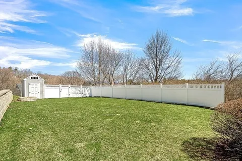 a view of yard with large tree