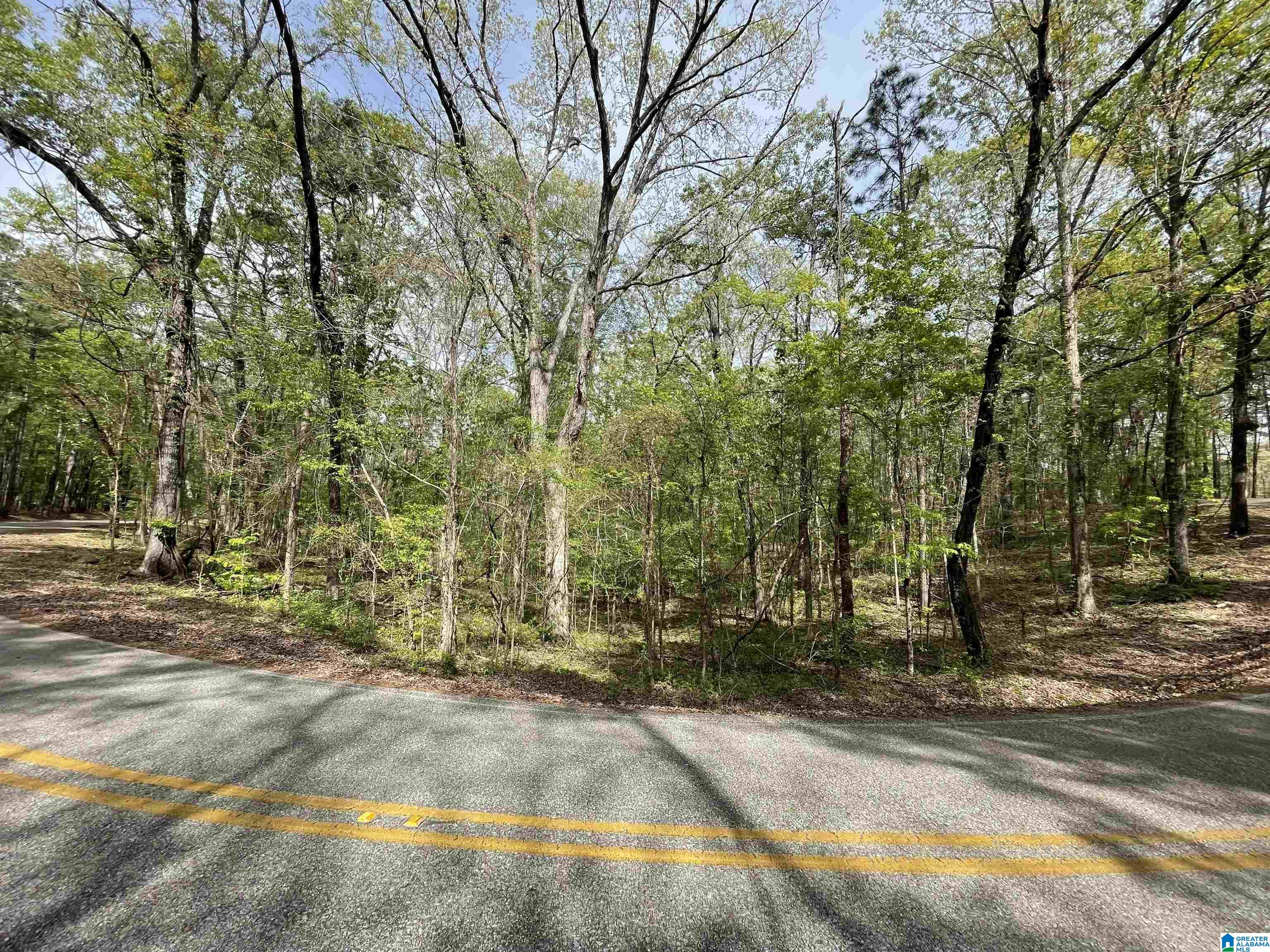 Lakeview Drive, Unit 53 Alpine, AL 35014 - Photo 12 of 35