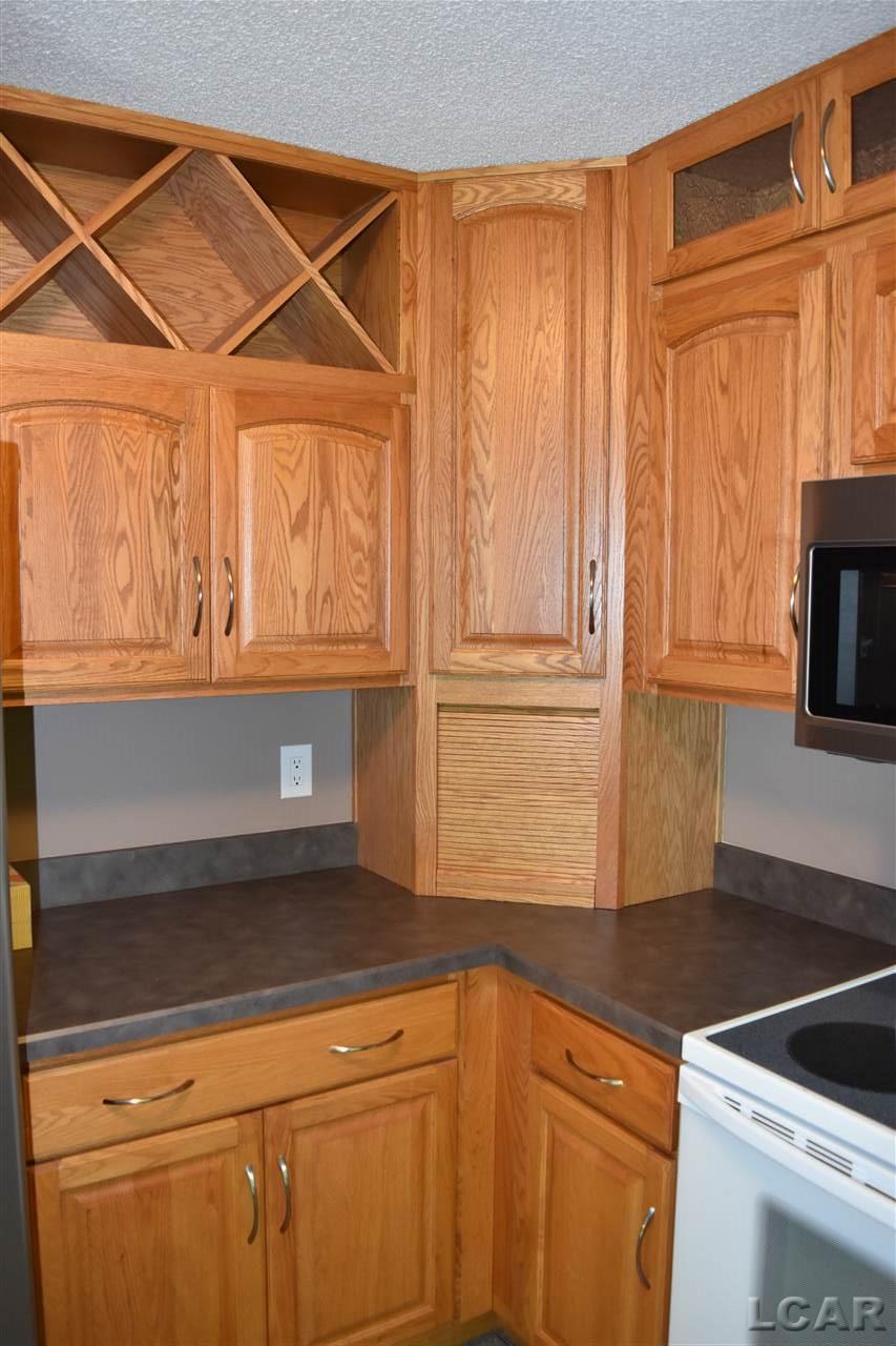 985 Riverside Avenue Adrian, MI 49221 - Photo 6 of 25 Kitchen