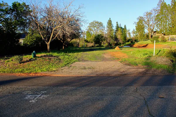 a view of backyard with green space