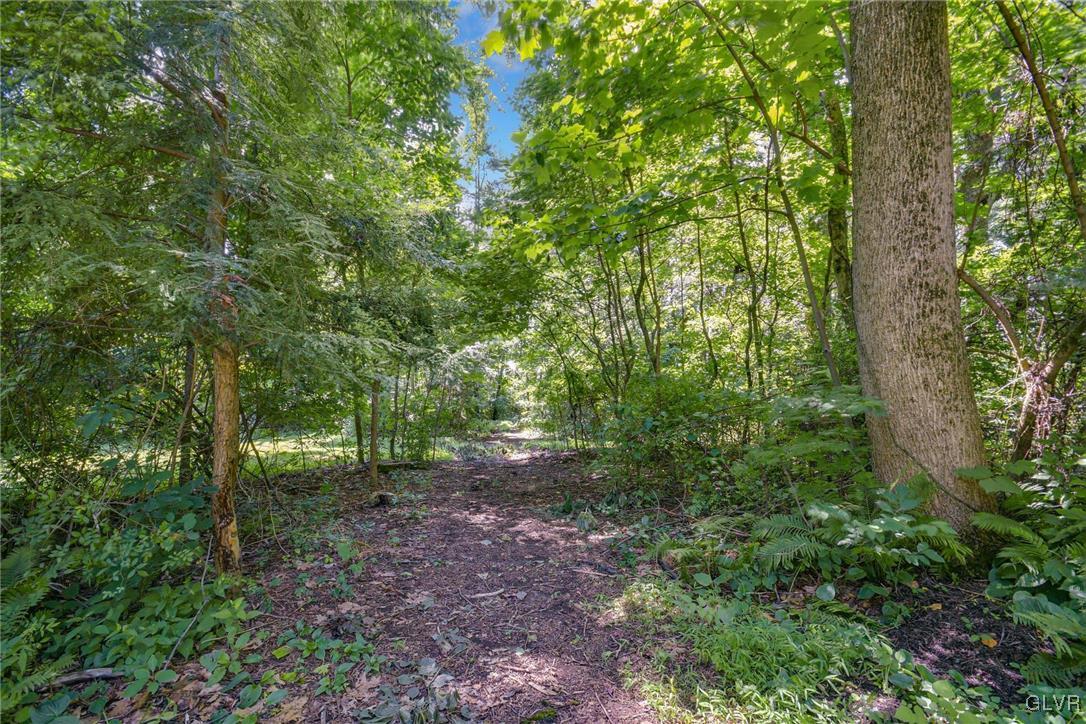 290 Steely Hill Road Riegelsville, PA 18077 - Photo 29 of 33 a view of a forest that has large trees
