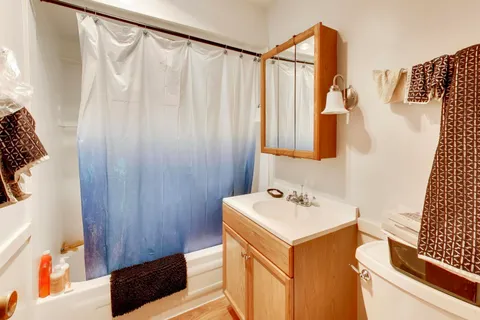 a view of garden with trees