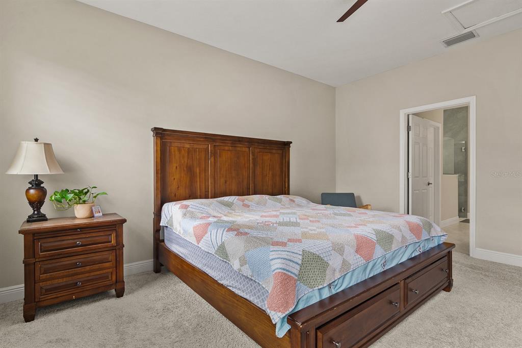 17880 Moon Rise Pass Land O Lakes, FL 34638 - Photo 18 of 43 a bedroom with a bed and a window