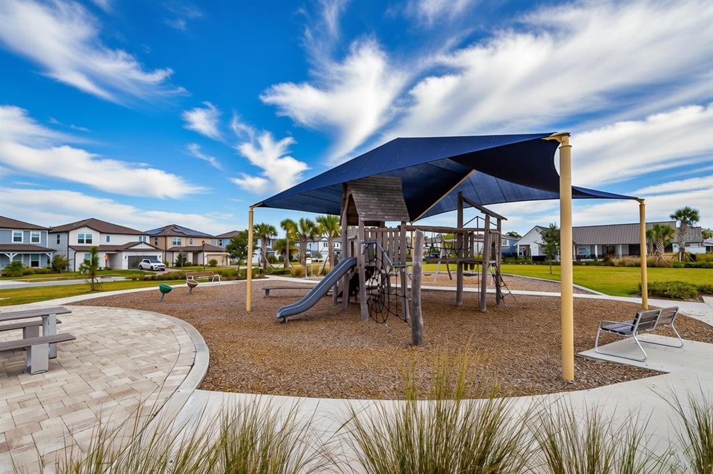17880 Moon Rise Pass Land O Lakes, FL 34638 - Photo 37 of 43 a view of a swimming pool with a patio