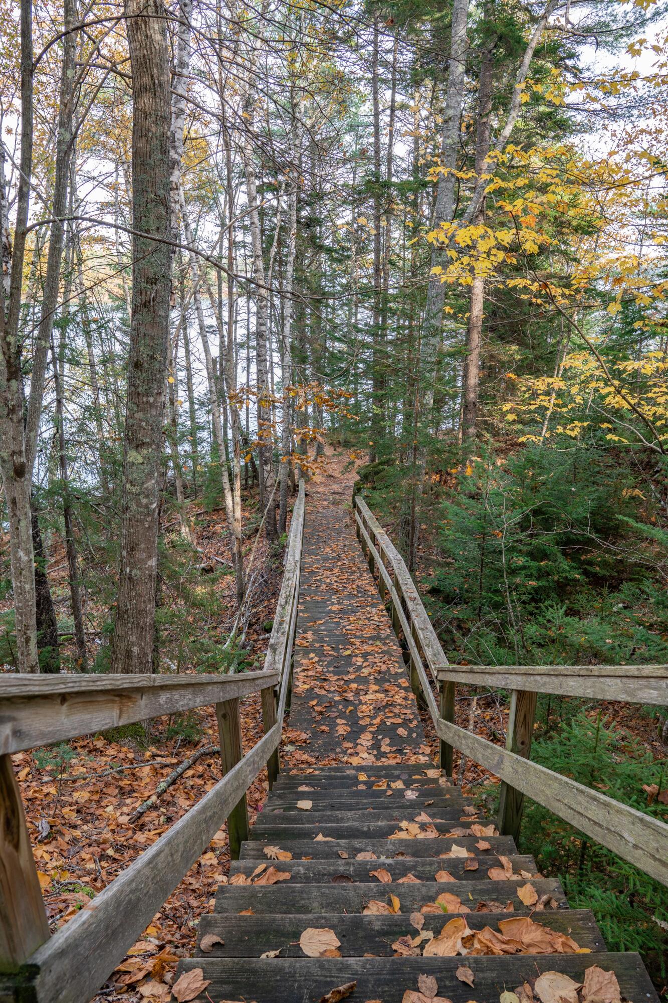 52 Oak Run Road Westport Island, ME 04578 - Photo 131 of 200