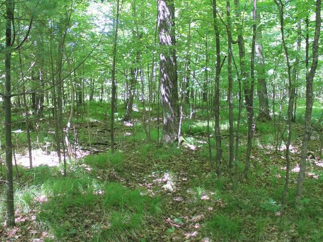 20 Clearview Road Ogema, WI 54459 - Photo 8 of 20 Gallery Image 8