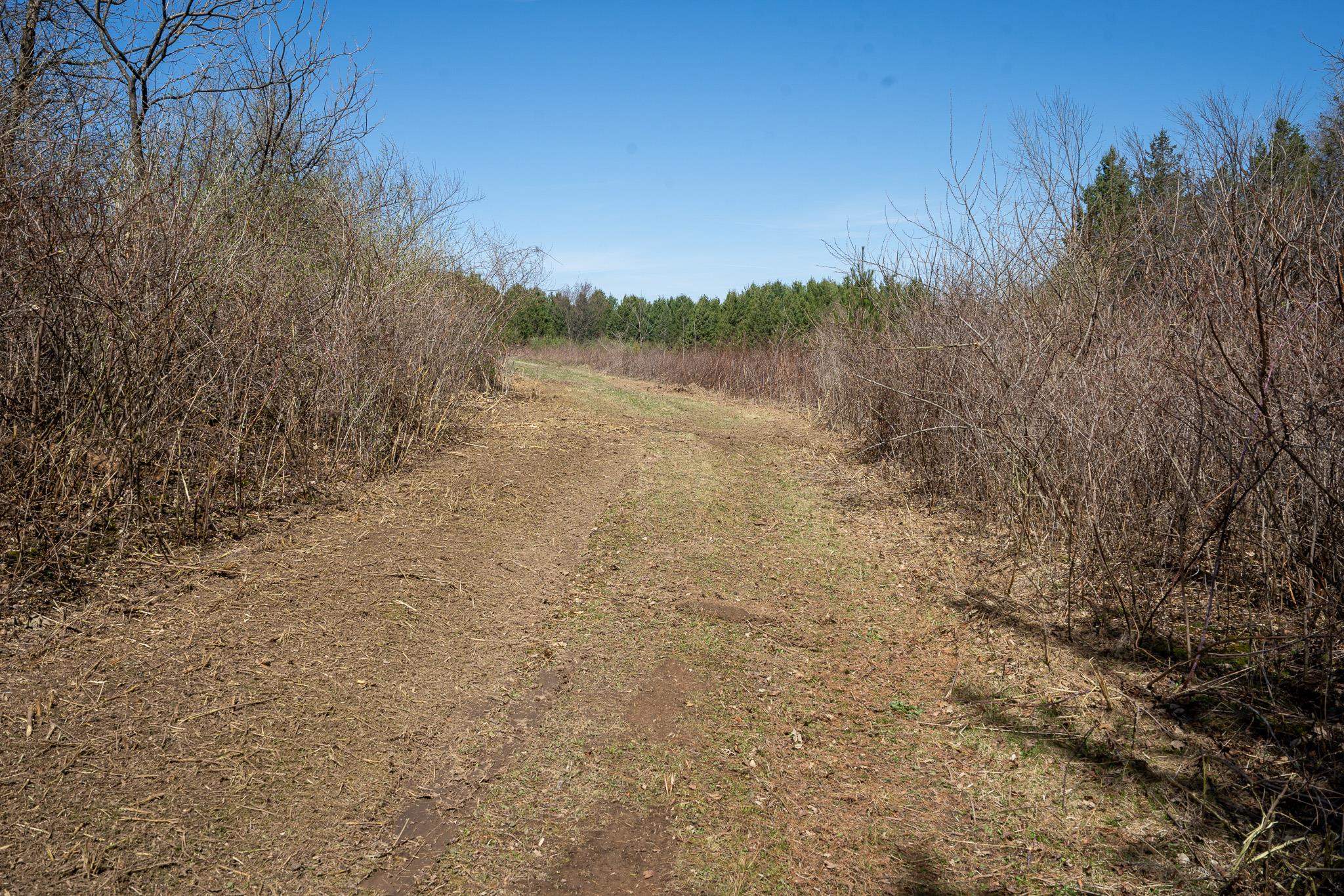 80-ac Knobs Spring Green, WI 53588 - Photo 17 of 23
