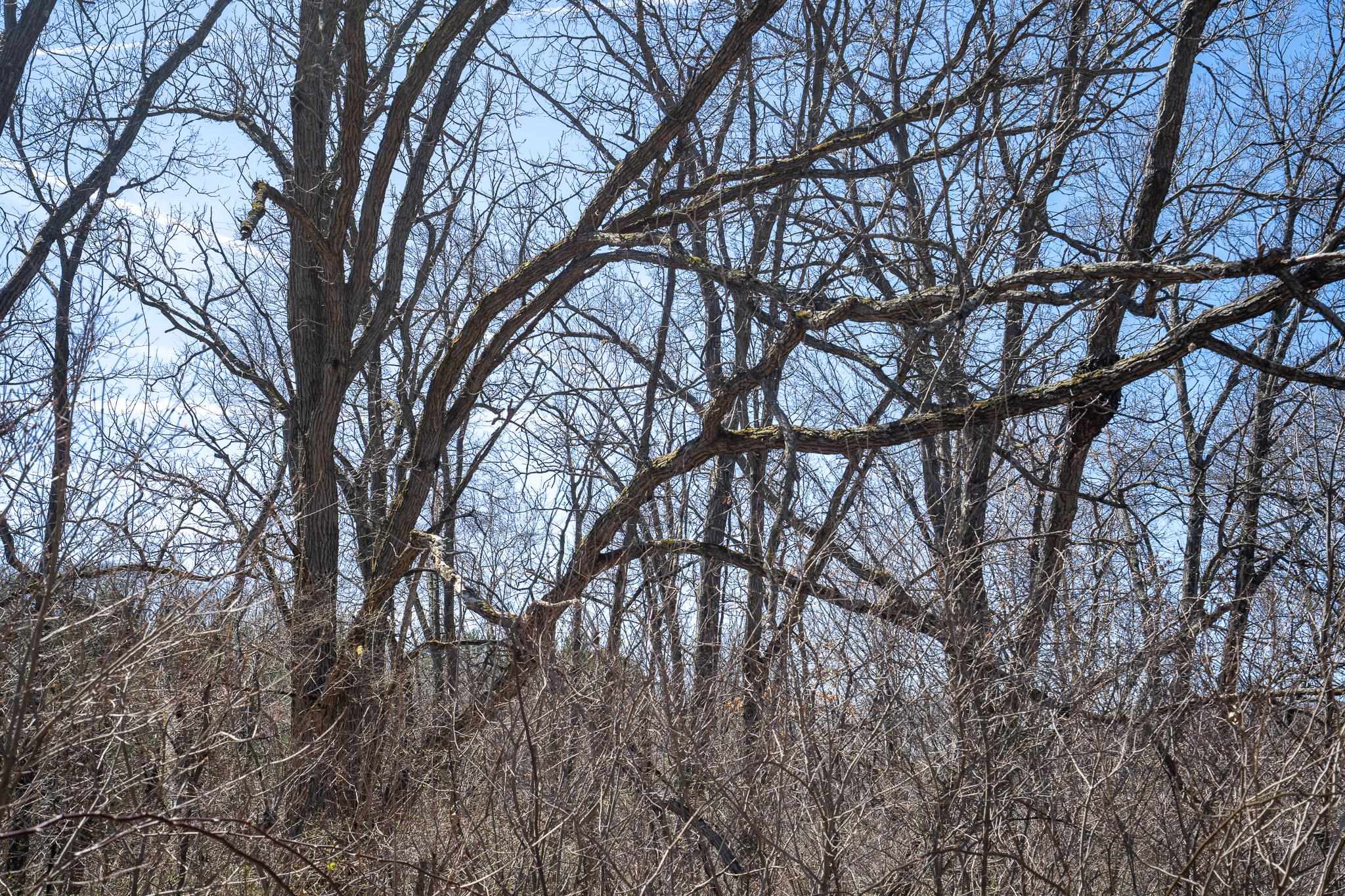 80-ac Knobs Spring Green, WI 53588 - Photo 19 of 23