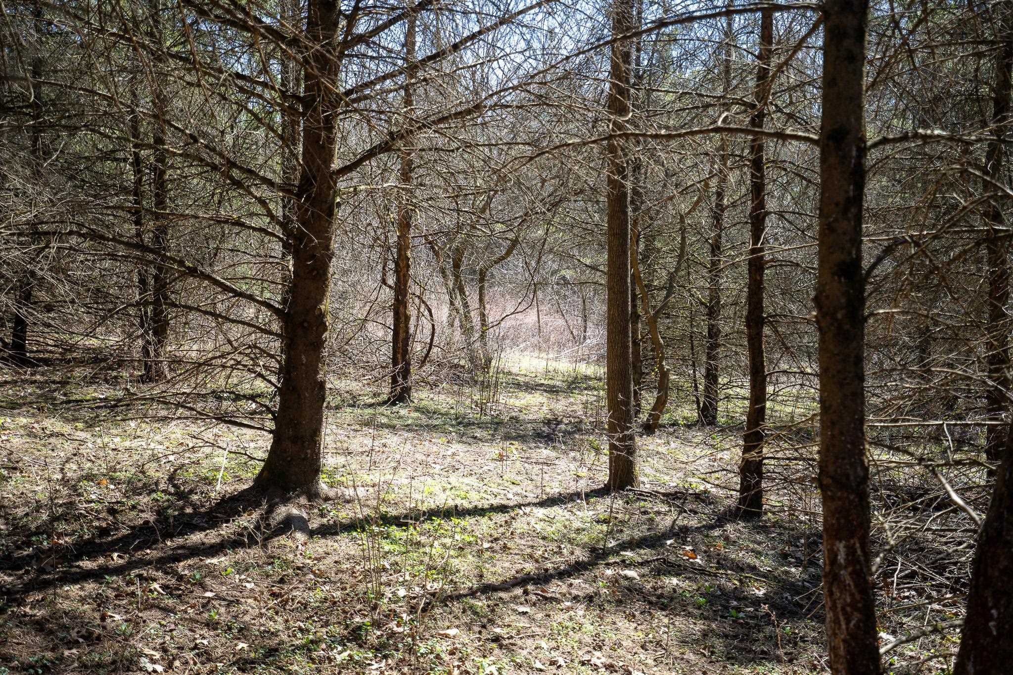 80-ac Knobs Spring Green, WI 53588 - Photo 20 of 23