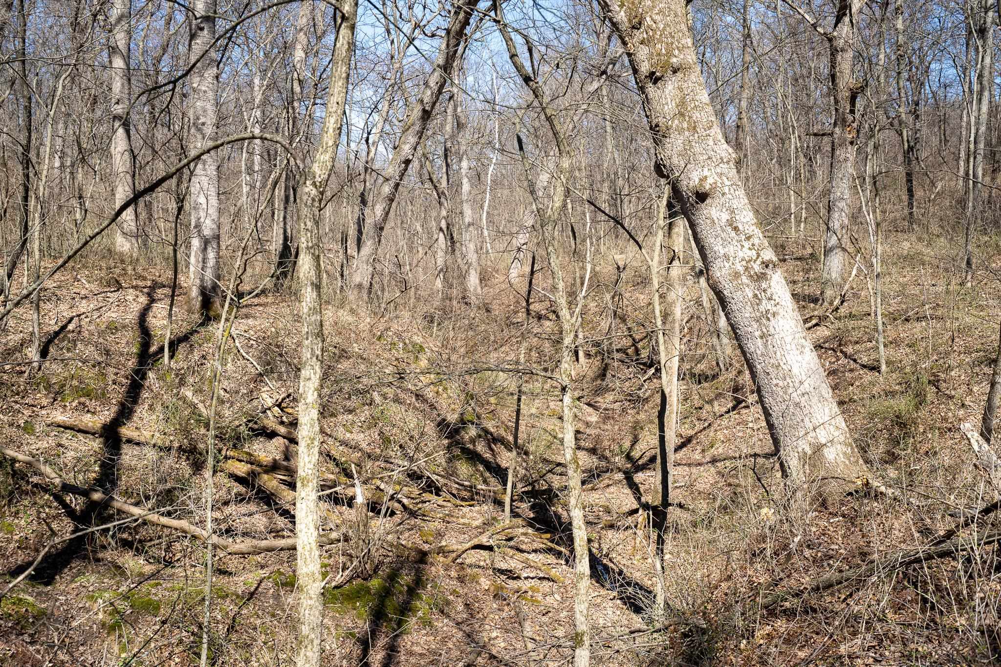 80-ac Knobs Spring Green, WI 53588 - Photo 22 of 23