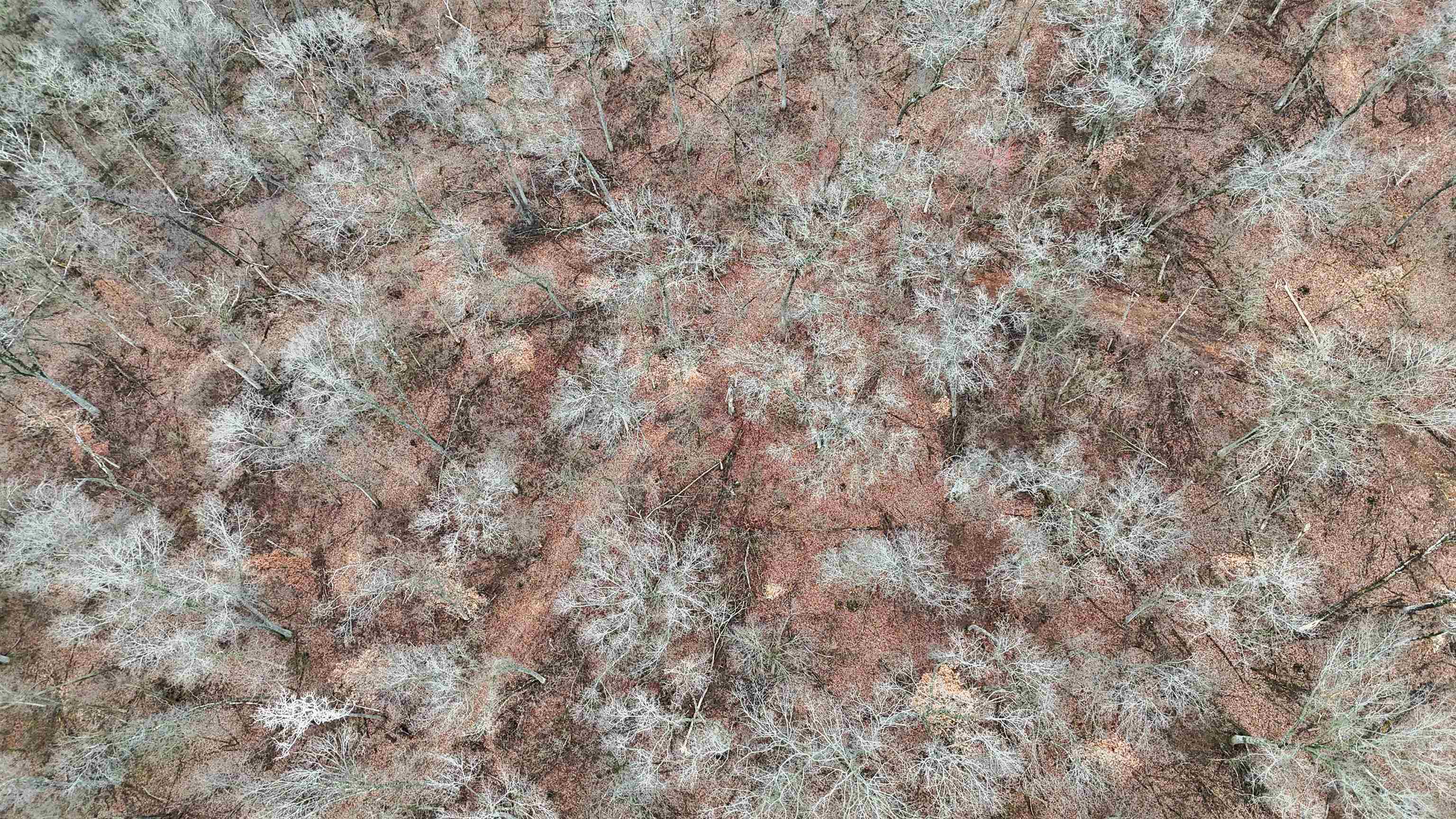 80-ac Knobs Spring Green, WI 53588 - Photo 6 of 23