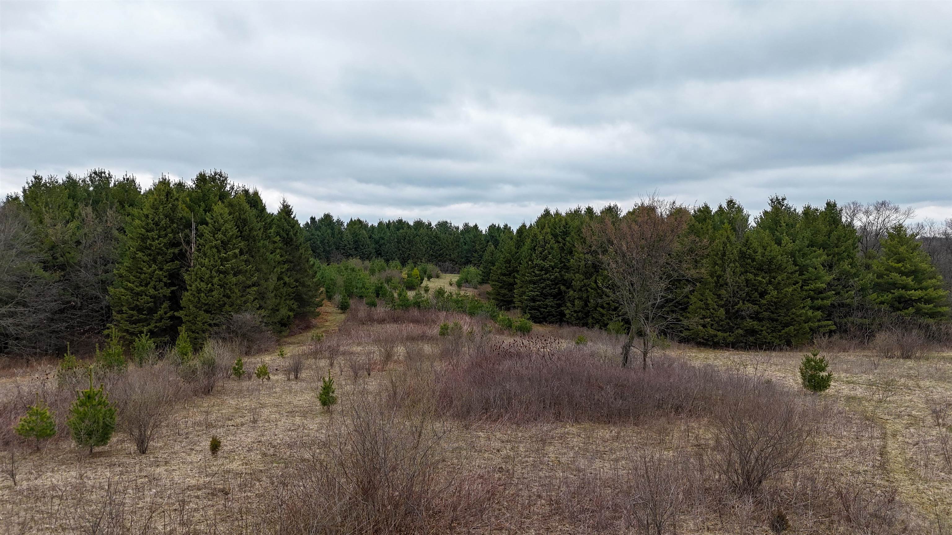 80-ac Knobs Spring Green, WI 53588 - Photo 9 of 23