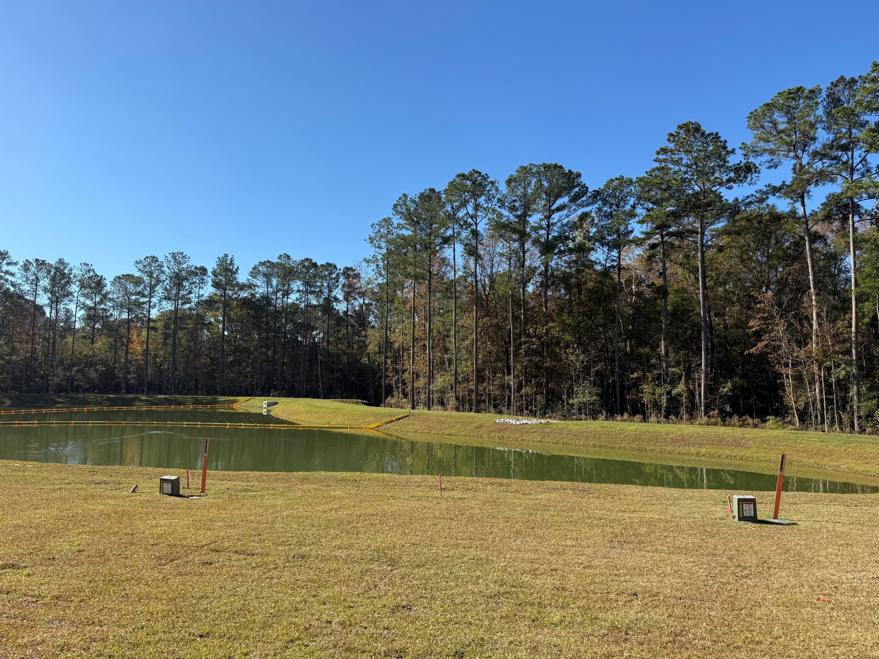 954 Long Bluff Road Summerville, SC 29486 - Photo 6 of 42 954 Long Bluff 1