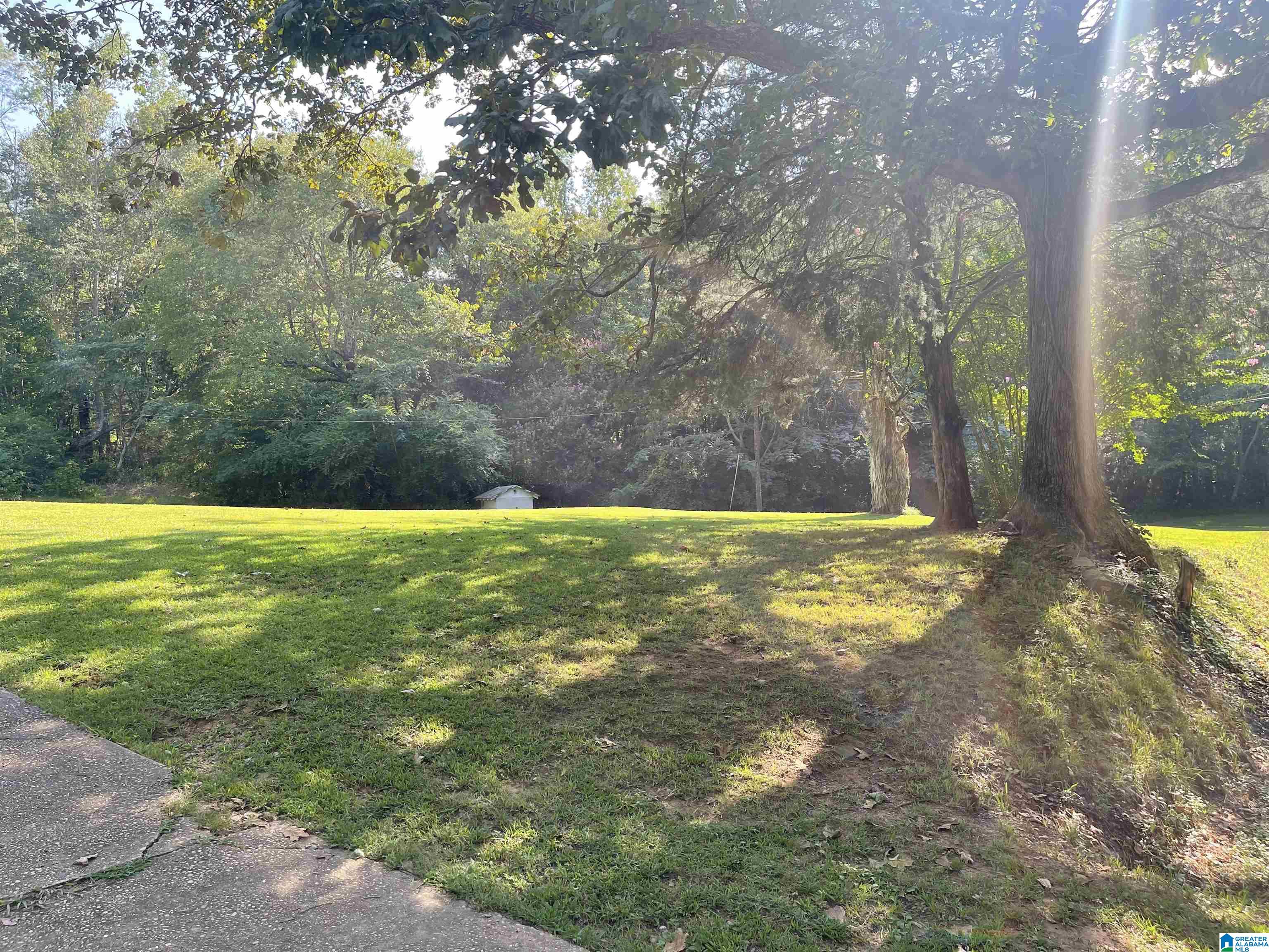 20087 Pleasant Grove Road Vance, AL 35490 - Photo 10 of 29 Gallery Image 10