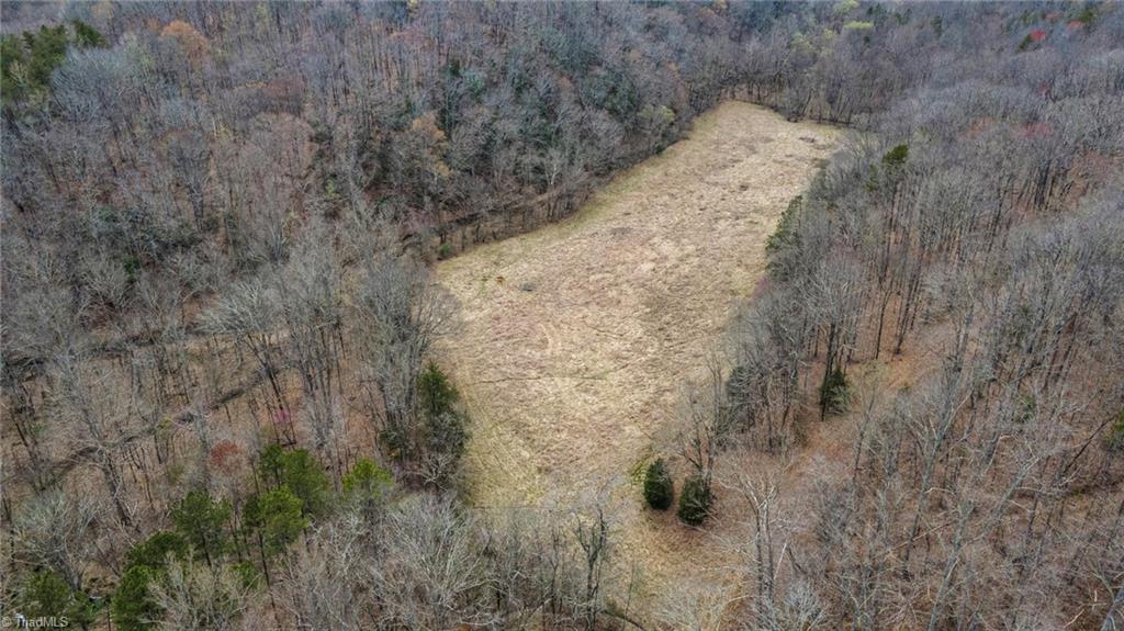 6030 Waller Road Pfafftown, NC 27040 - Photo 46 of 50 Gallery Image 46
