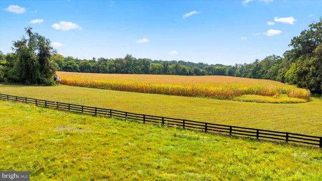 a view of a tennis ground with large trees