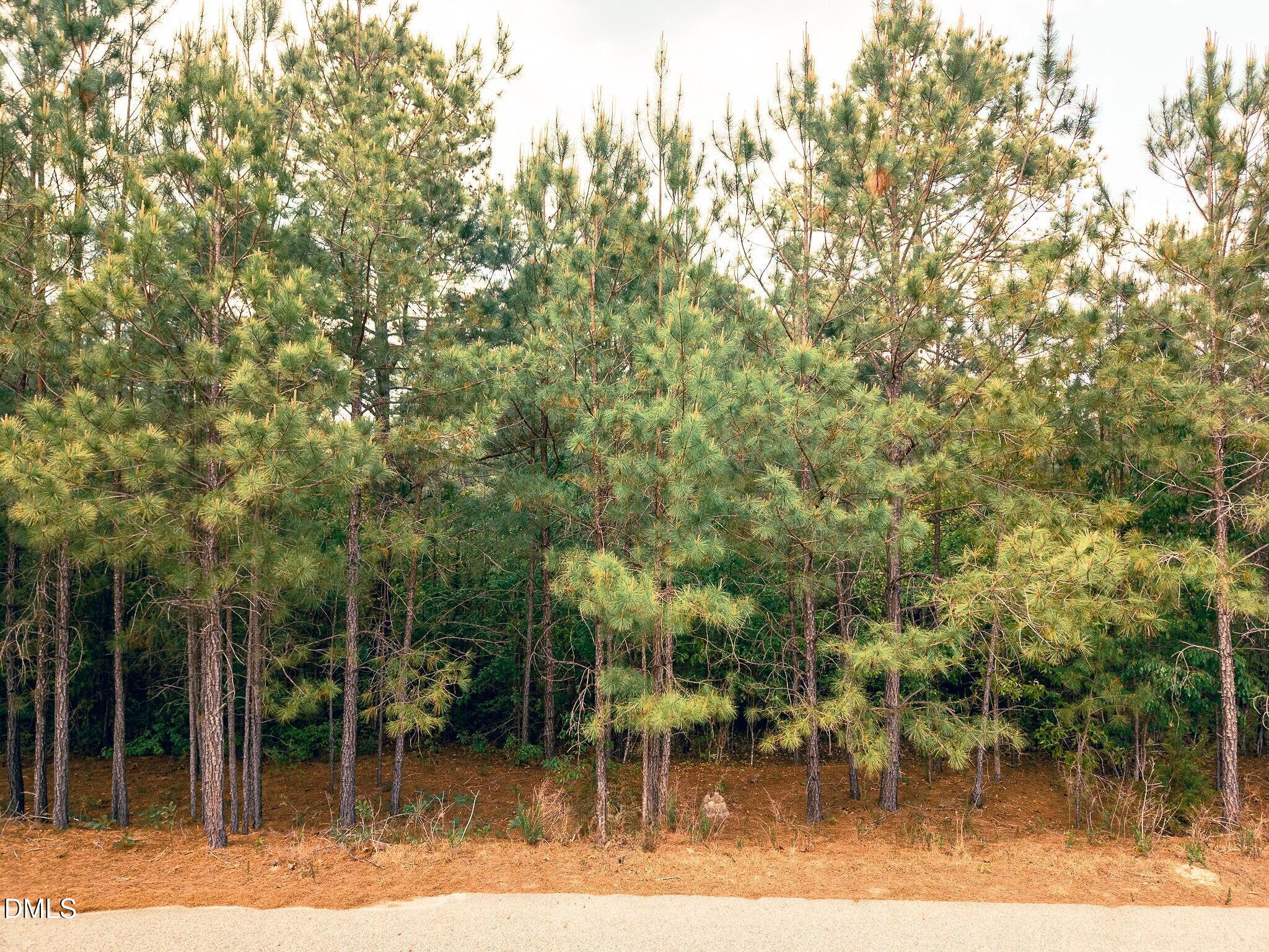 181 Appleton Way Sanford, NC 27332 - Photo 2 of 7 BNPhotography-181Appleton-MLSUploadReady