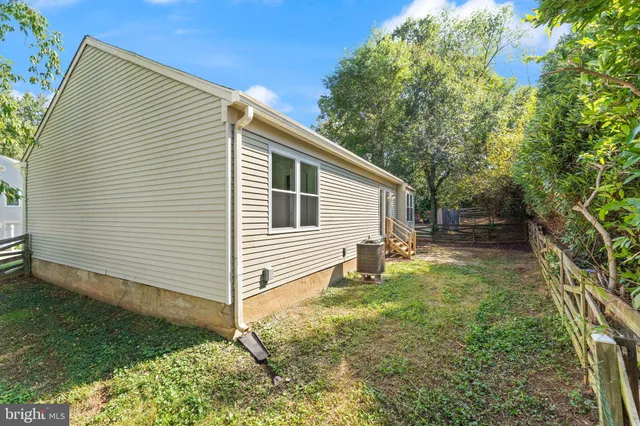 a view of a backyard with plants and large tree
