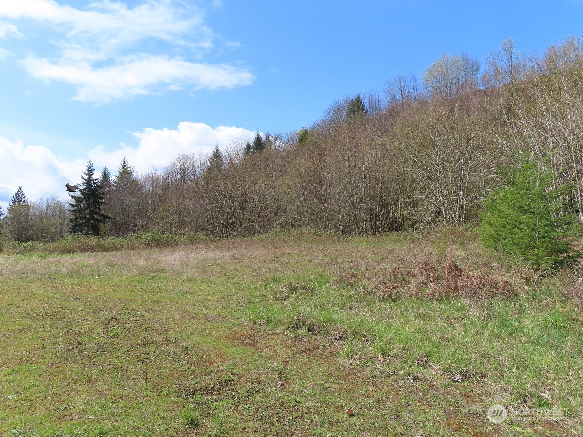 -xxx Confer Road Kalama, WA 98625 - Photo 16 of 26 Gallery Image 16