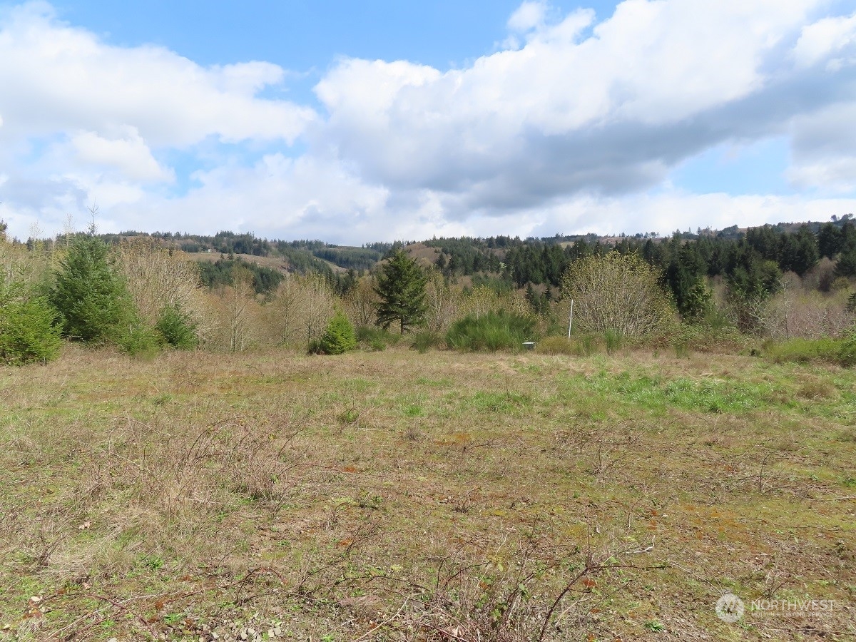 -xxx Confer Road Kalama, WA 98625 - Photo 3 of 26 Gallery Image 3