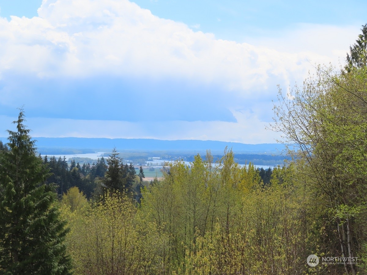 -xxx Confer Road Kalama, WA 98625 - Photo 5 of 26 Gallery Image 5