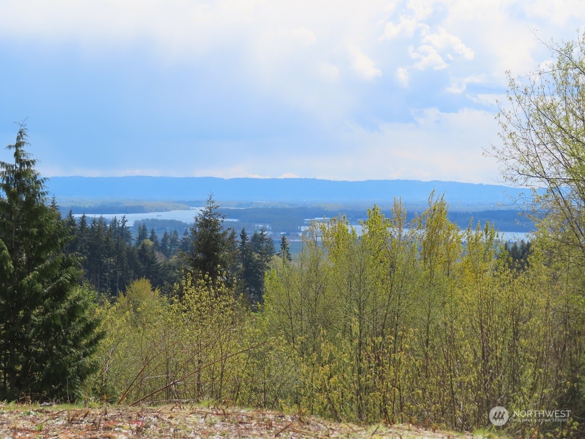 -xxx Confer Road Kalama, WA 98625 - Photo 8 of 26 Gallery Image 8