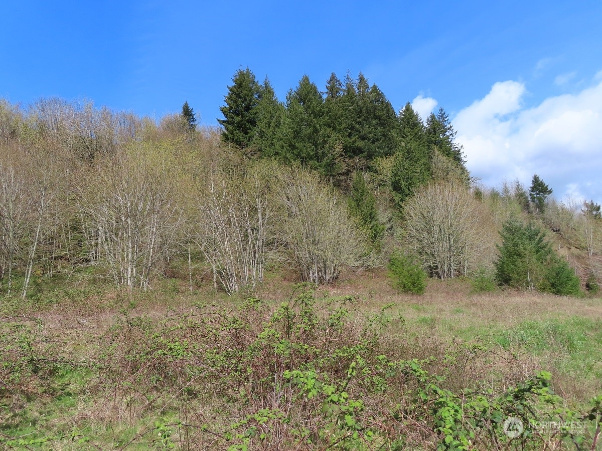 -xxx Confer Road Kalama, WA 98625 - Photo 9 of 26 Gallery Image 9