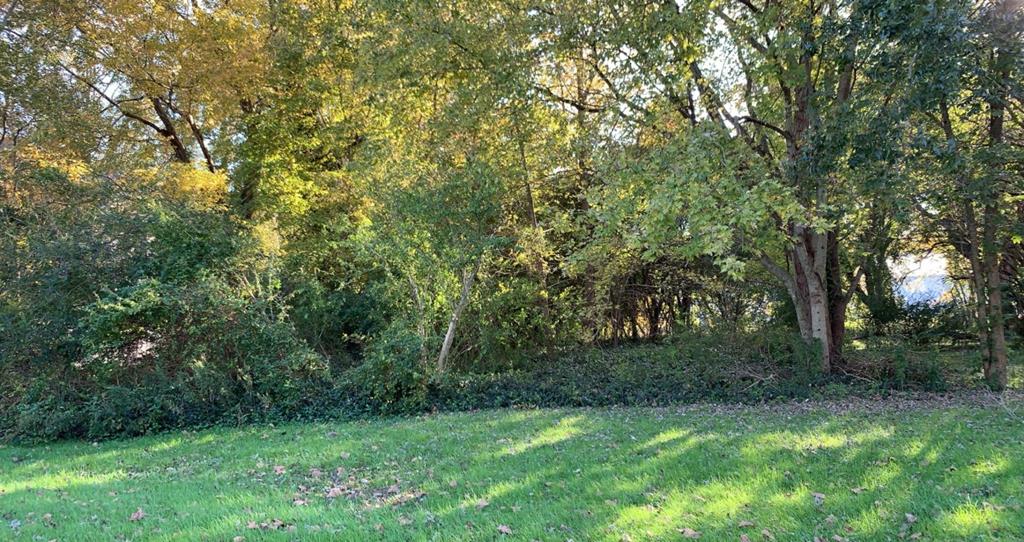Lot 1 Horsey Road, Unit 1 Temperanceville, VA 23442 - Photo 1 of 1