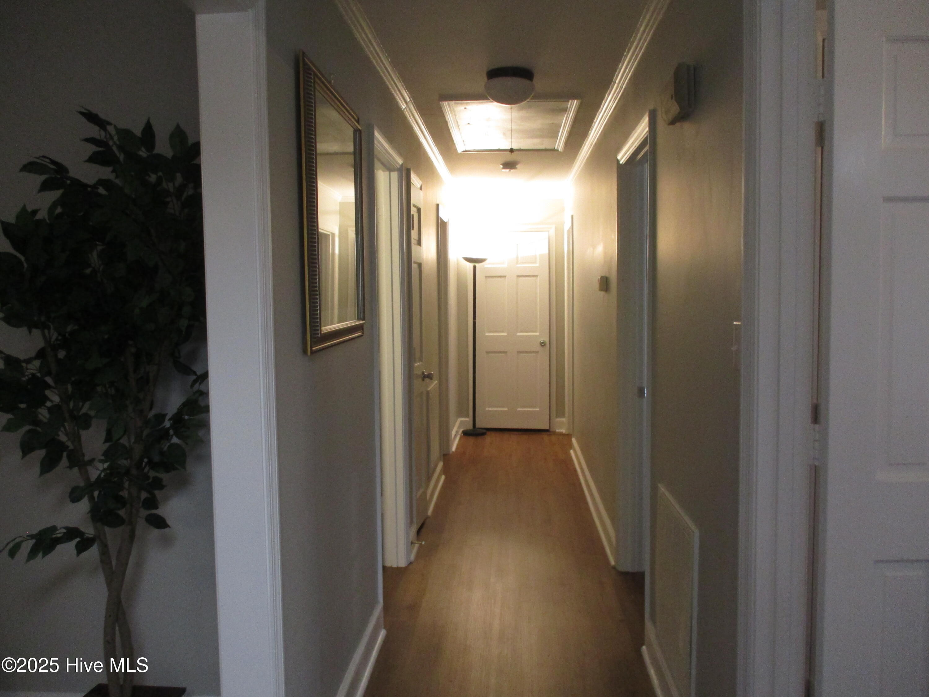 1205 West Highland Avenue Kinston, NC 28501 - Photo 21 of 41 Hallway