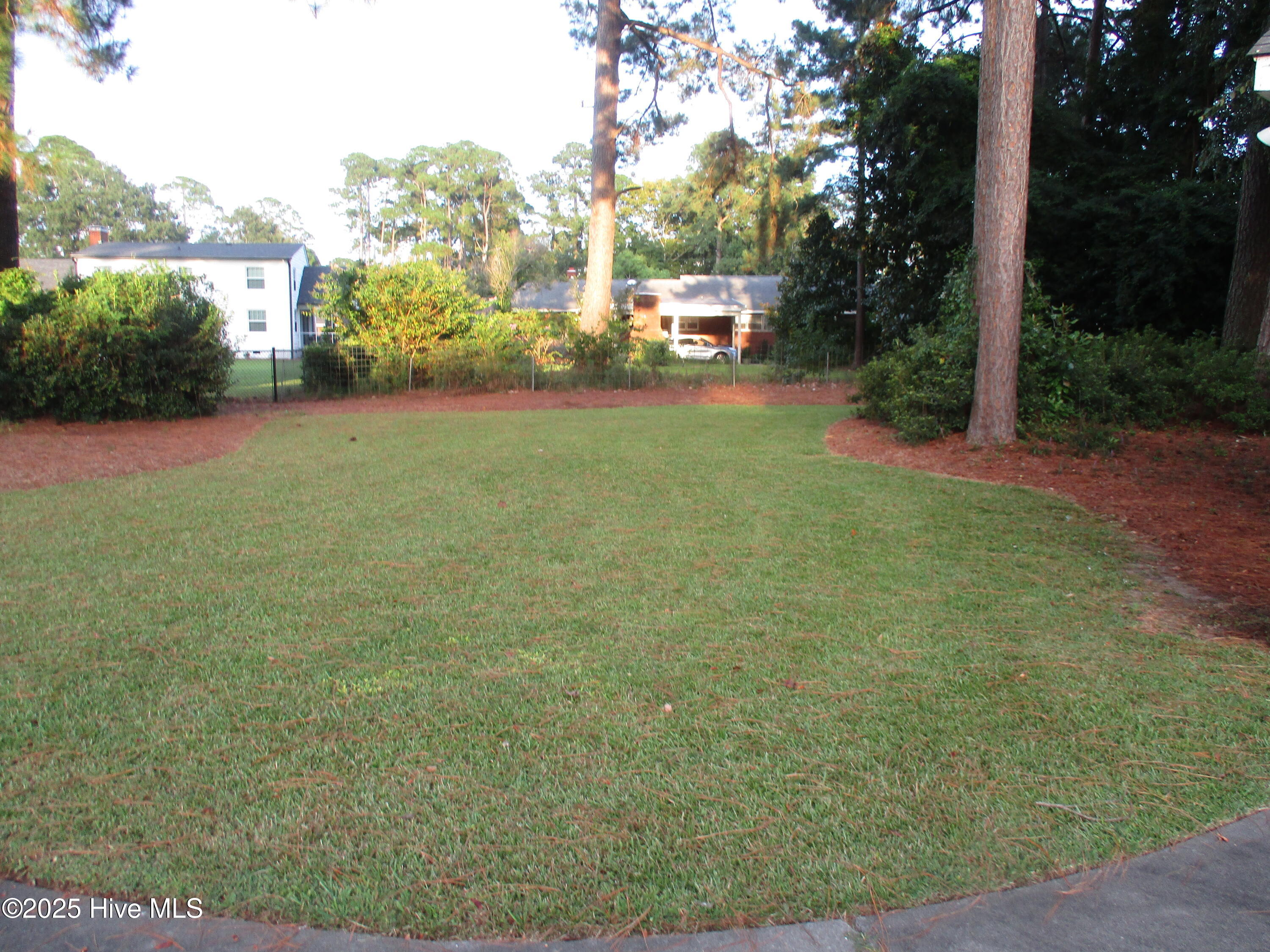 1205 West Highland Avenue Kinston, NC 28501 - Photo 40 of 41 Backyard