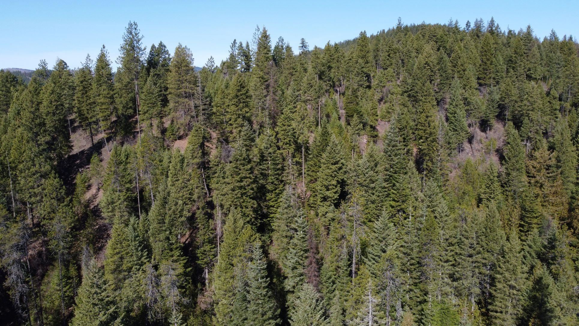 5030 Rose Hill Road Springdale, WA 99173 - Photo 1 of 7