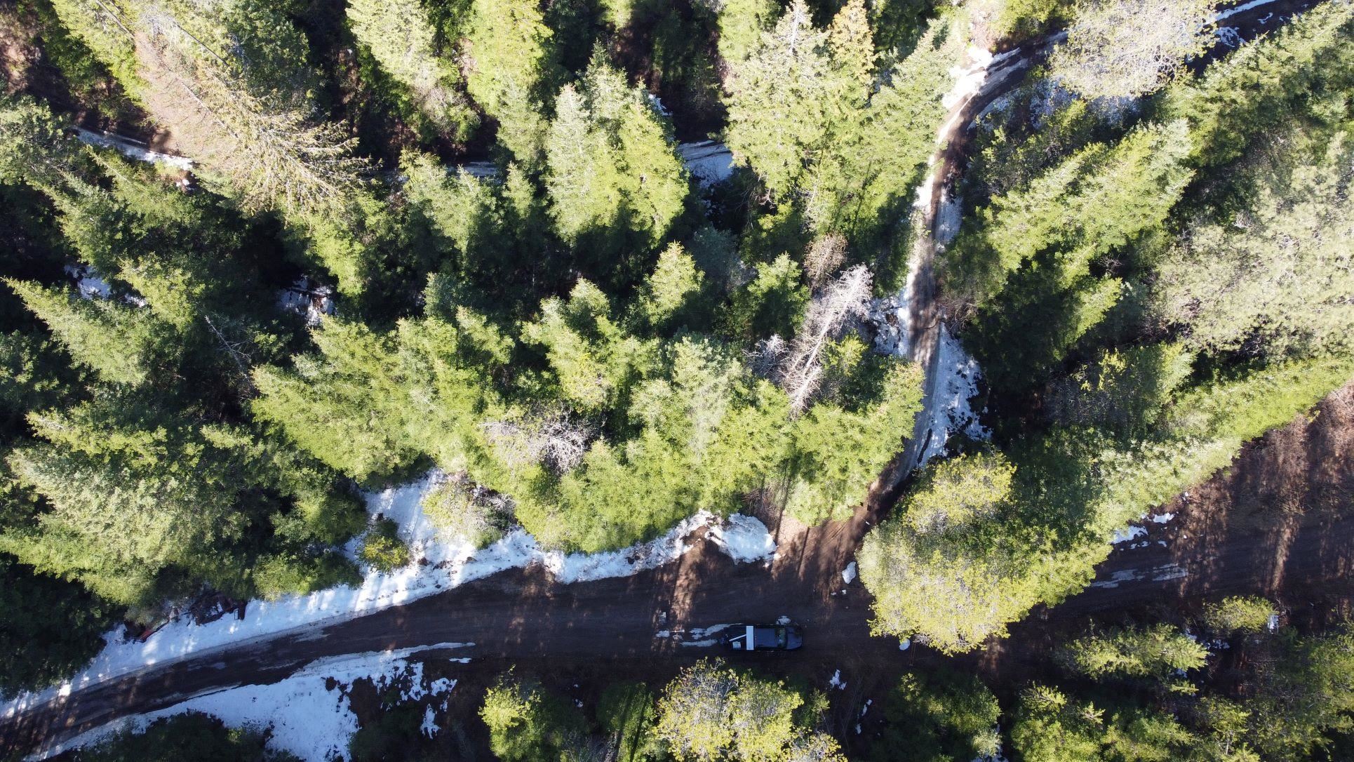 5030 Rose Hill Road Springdale, WA 99173 - Photo 7 of 7