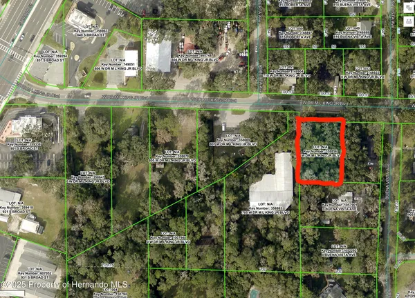 $39,999 | 0 West Dr Martin Luther King Jr Boulevard, Brooksville, FL 34601