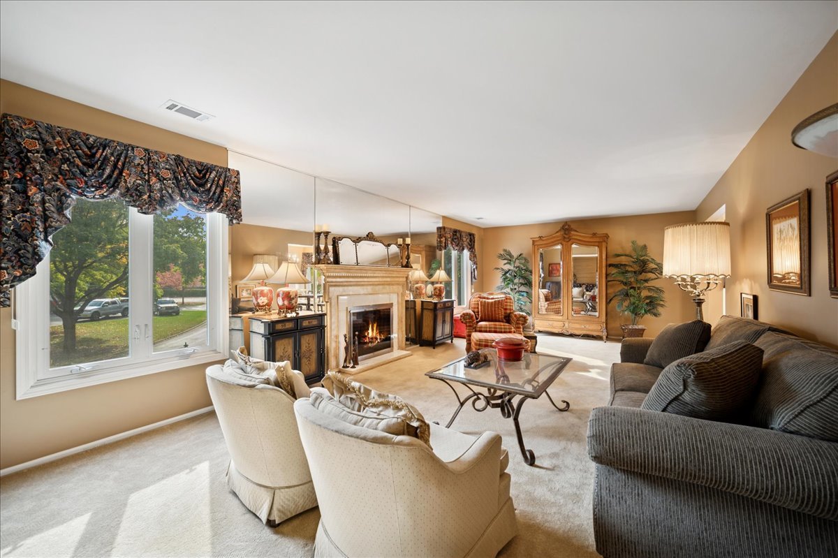175 Lake Boulevard, Unit 301 Buffalo Grove, IL 60089 - Photo 7 of 15 a living room with fireplace furniture and a large window