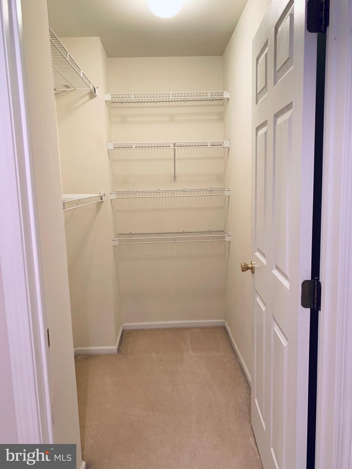 128 Coburn Road Pennington, NJ 08534 - Photo 24 of 39 Walk-in Closet with organizational system