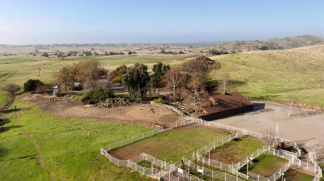 a view of a yard with an outdoor space