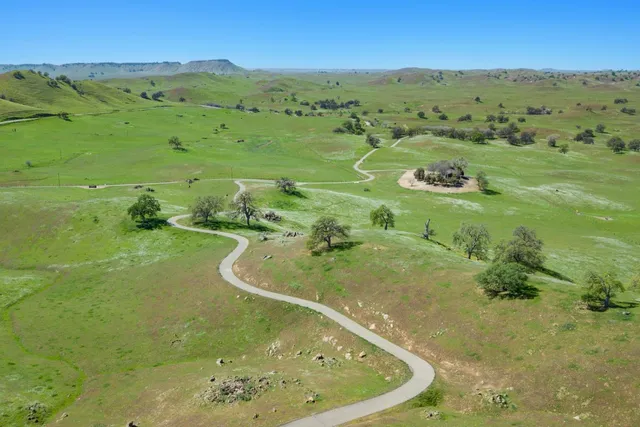 a view of a backyard with plants and outdoor seating