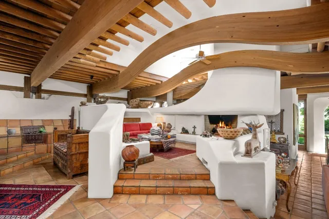 a view of a garden with plants