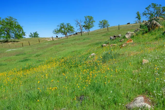 $4,750,000 | 19623 Road 211, Friant, CA 93626