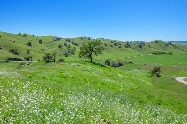 $4,750,000 | 19623 Road 211, Friant, CA 93626