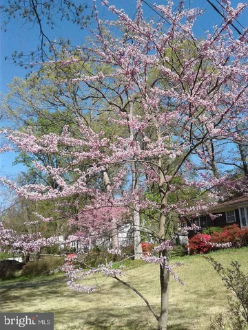 $675,000 | 1912 Kimberly Road, Silver Spring, MD 20903