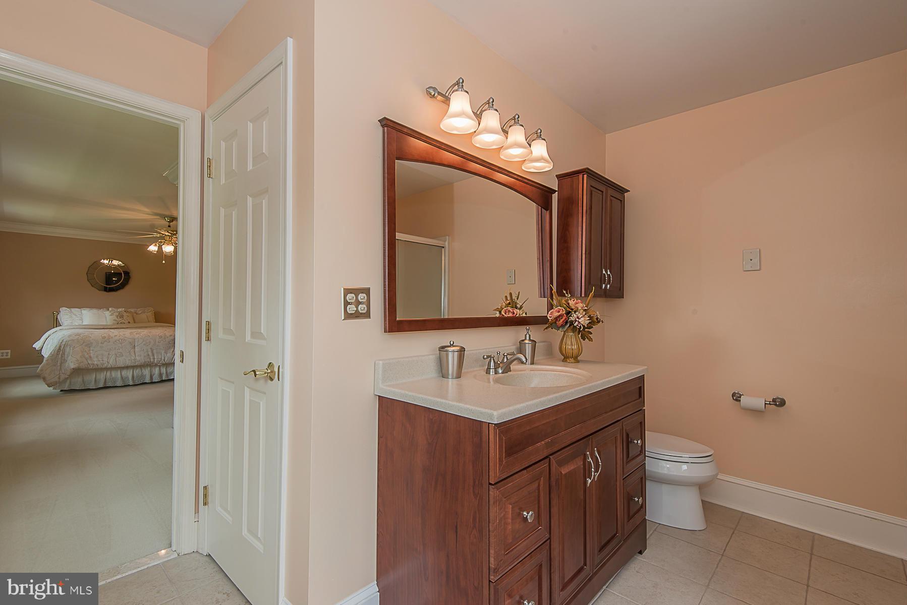 2523 Paper Mill Road Phoenix, MD 21131 - Photo 16 of 30 Bath (Master)