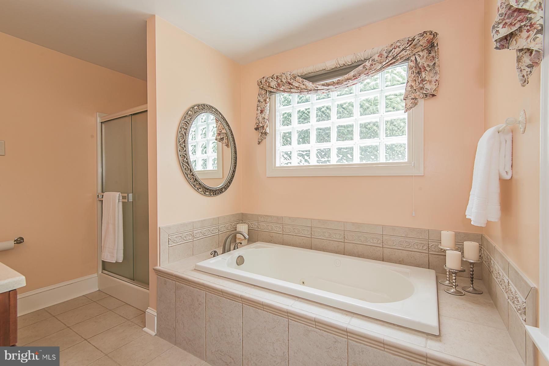 2523 Paper Mill Road Phoenix, MD 21131 - Photo 17 of 30 Bath (Master)