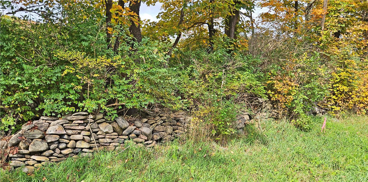 41 County Route Pulaski, NY 13142 - Photo 11 of 15 Stone wall at roadside